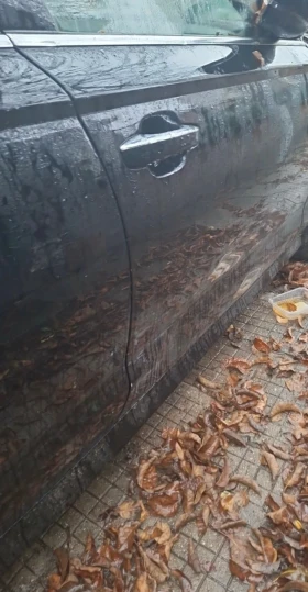 Audi A6 - 6636362 € / 12979595.89 лв. - 36034375 5