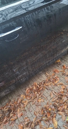 Audi A6 - 6636362 € / 12979595.89 лв. - 36034375 4