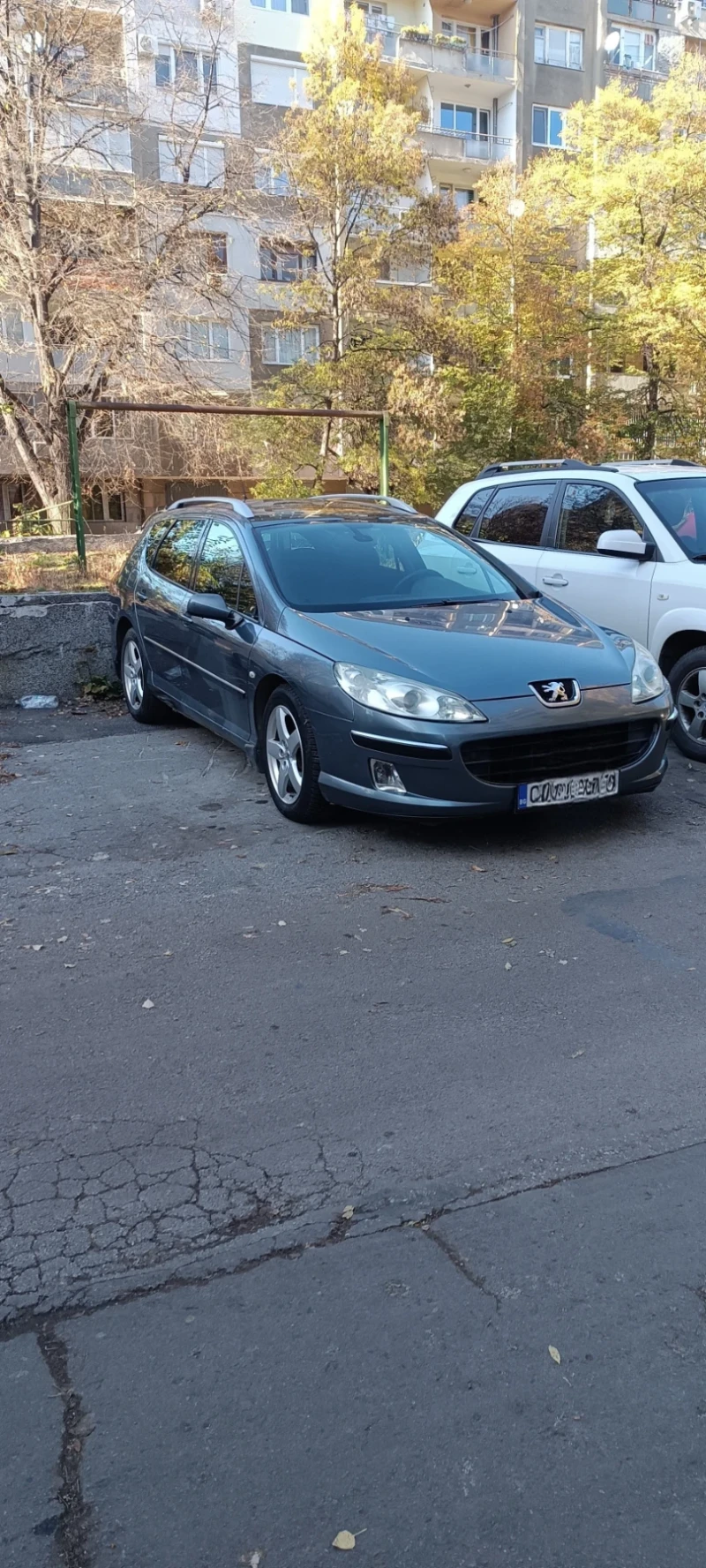 Peugeot 407, снимка 2 - Автомобили и джипове - 52259092