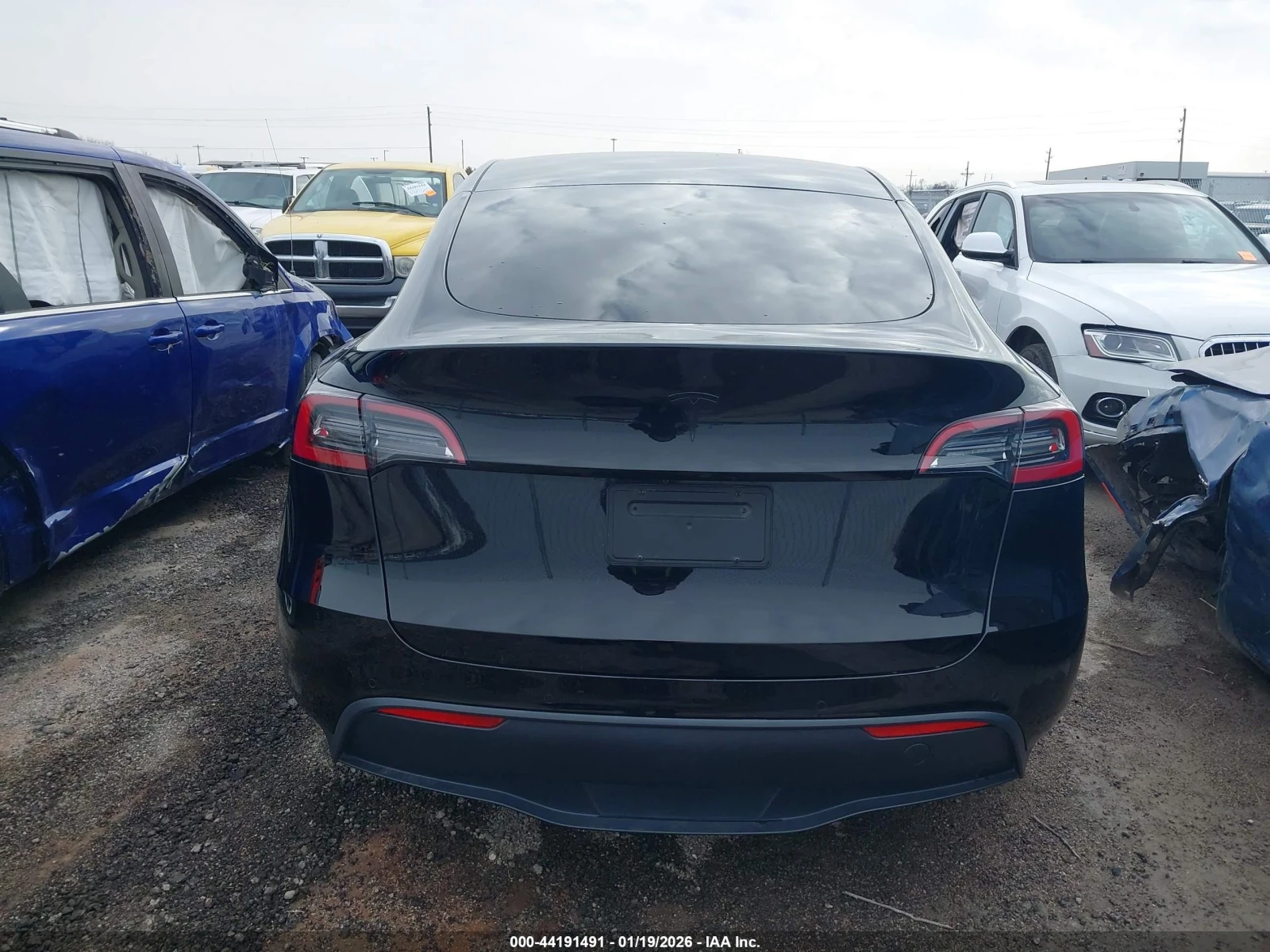 Tesla Model Y Long Range Dual Motor All-wheel Drive, снимка 5 - Автомобили и джипове - 54572750