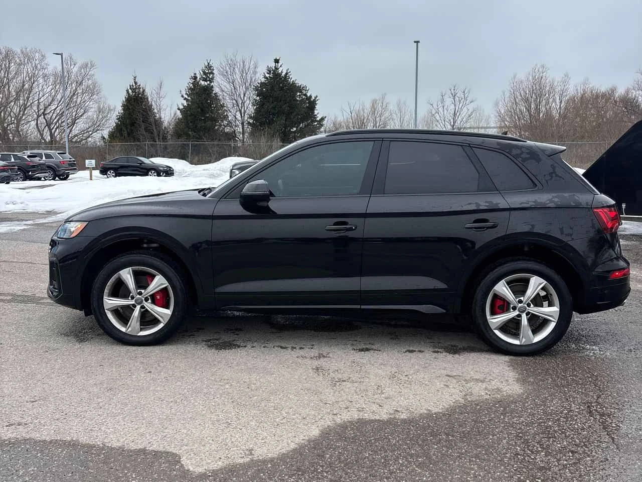 Audi SQ5  Progressiv /360/DISTRONIC/КЛИП НА МОТОРА , снимка 2 - Автомобили и джипове - 54250451
