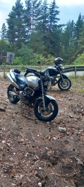  Honda Hornet