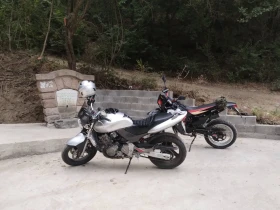 Honda Hornet   | Mobile.bg    8