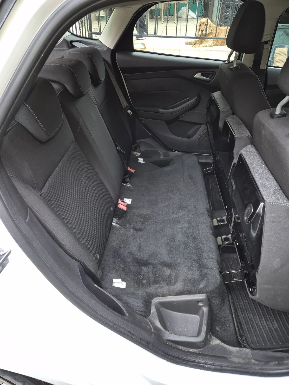 Ford Focus, снимка 15 - Автомобили и джипове - 56557596
