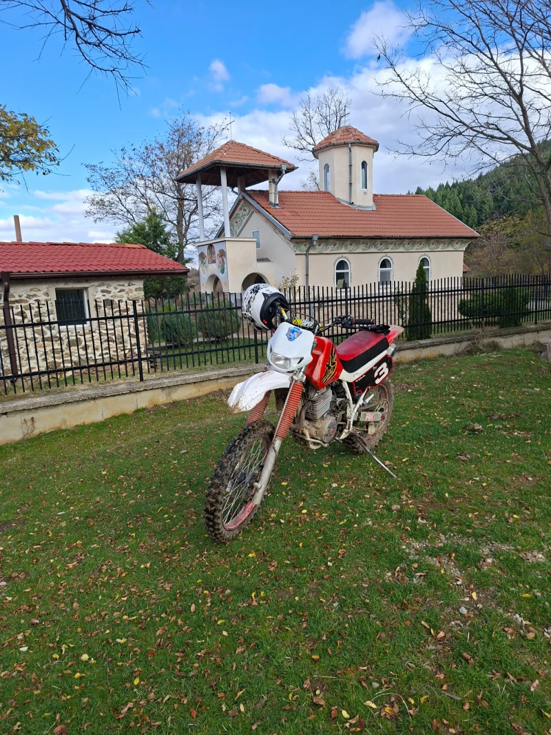 Honda 599 XR 600