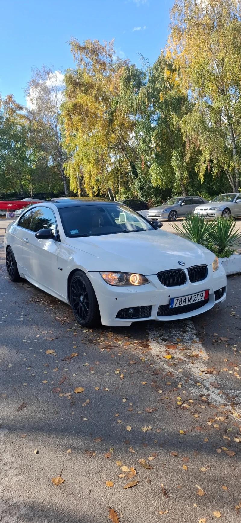 BMW 335, снимка 4 - Автомобили и джипове - 52901216