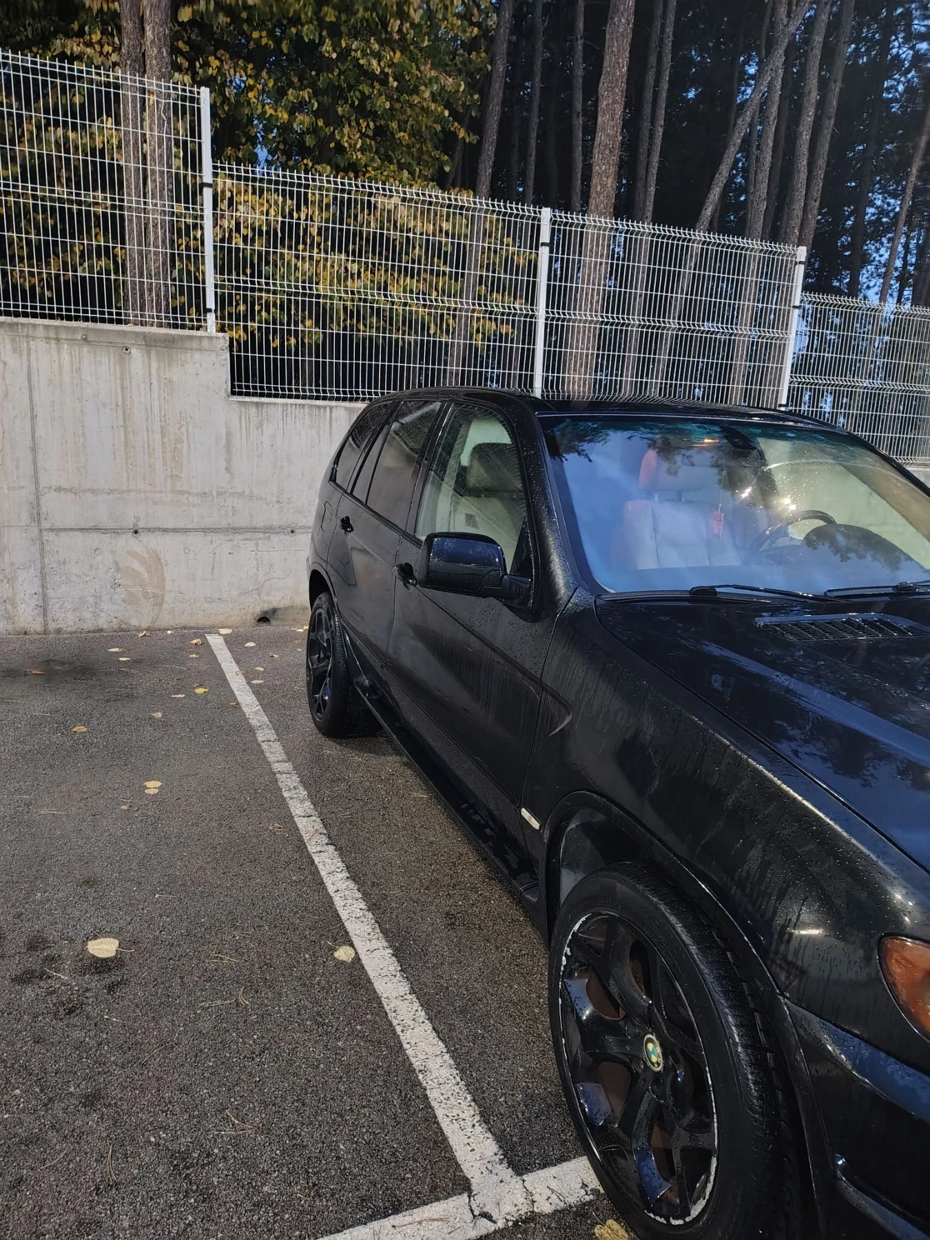 BMW X5 3.0 ������ | Mobile.bg � ����������� 3