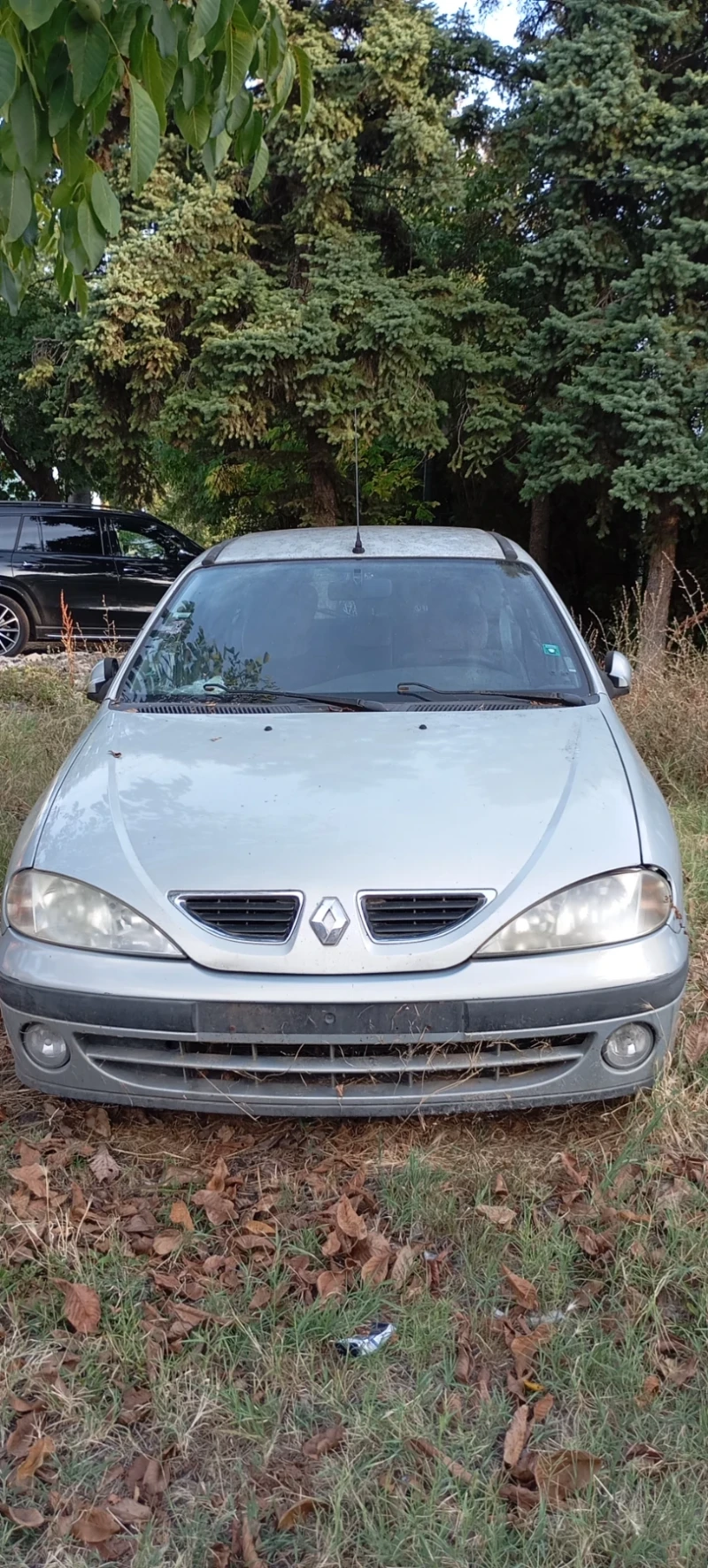 Renault Megane 1.8, снимка 1 - Автомобили и джипове - 47012596