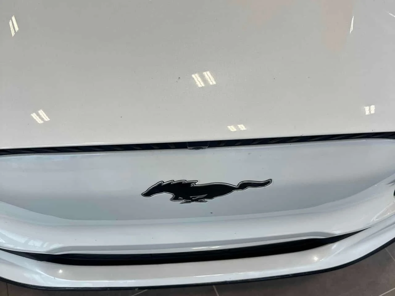 Ford Mustang Mach-E California Route 1  CARFAX, снимка 14 - Автомобили и джипове - 53800748