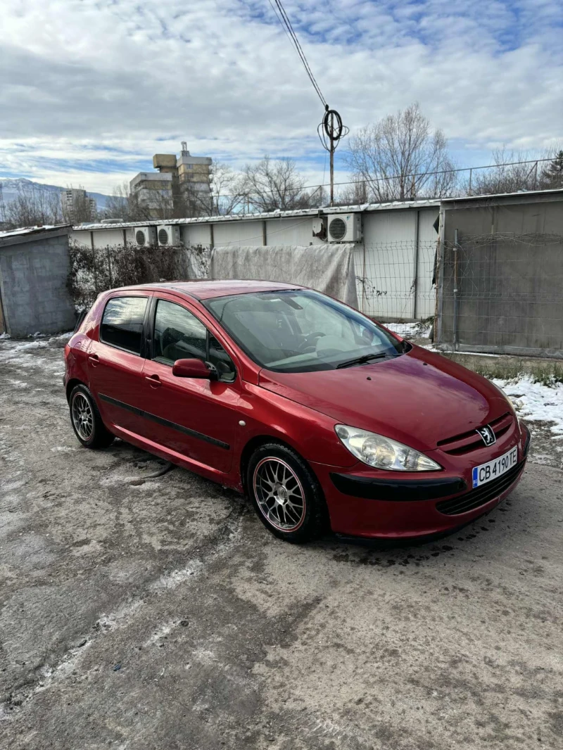 Peugeot 307 11111, снимка 2 - Автомобили и джипове - 53045548