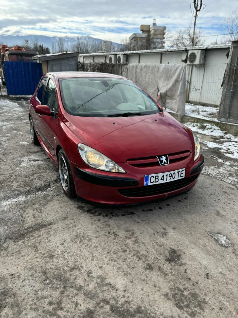 Peugeot 307 11111, снимка 3 - Автомобили и джипове - 53045548
