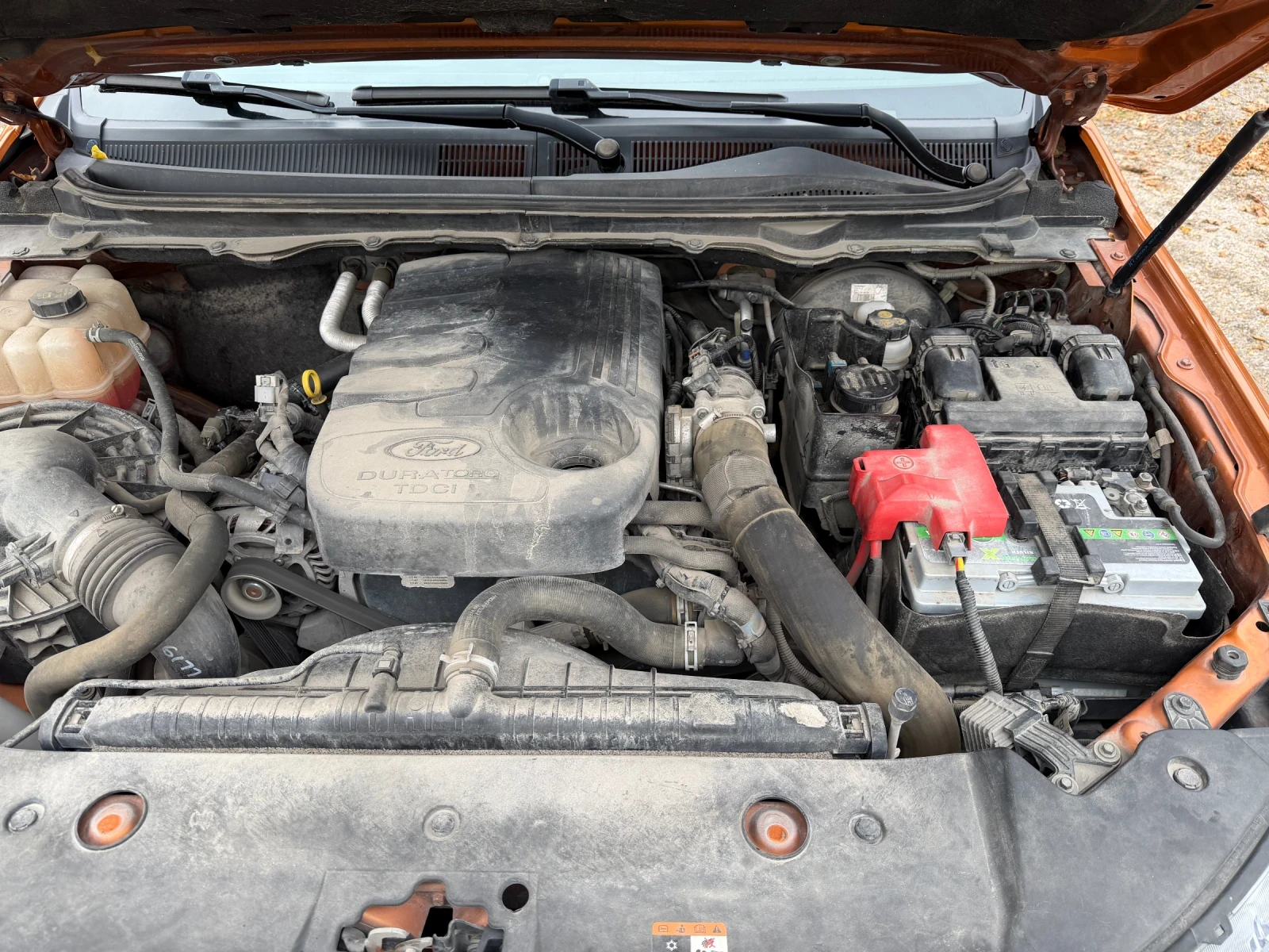 Ford Ranger Wildtrak, снимка 12 - Автомобили и джипове - 56520068