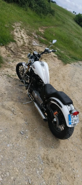 Daytona Rockstar, снимка 6