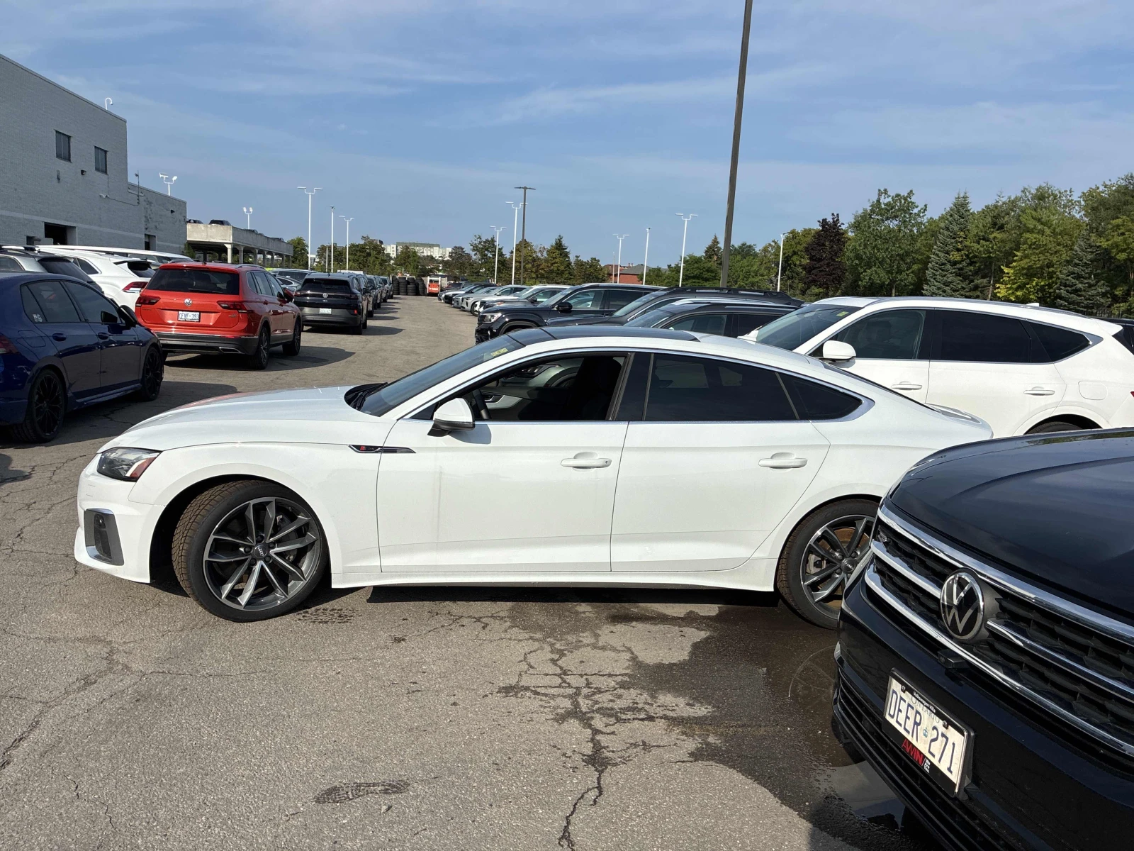 Audi A5 Technik, ПРОГНОЗНА ЦЕНА до БГ, снимка 2 - Автомобили и джипове - 55666866