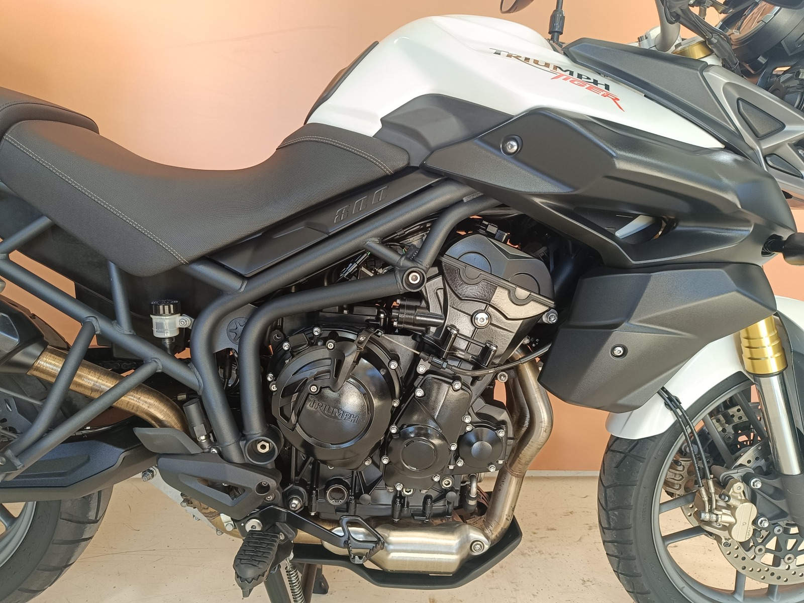 Triumph Tiger 800 ABS  - изображение 7