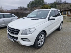 Mercedes-Benz ML 250 