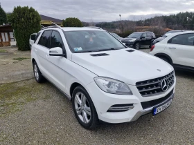 Mercedes-Benz ML 250 - 12900 € / 25230.21 лв. - 30934340 2
