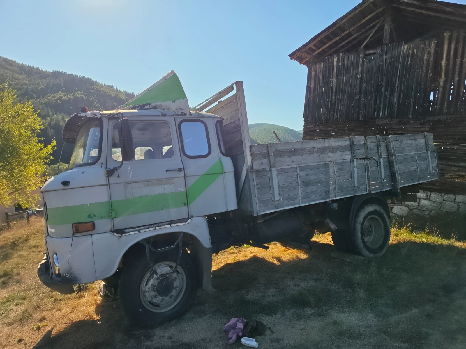 Ifa W