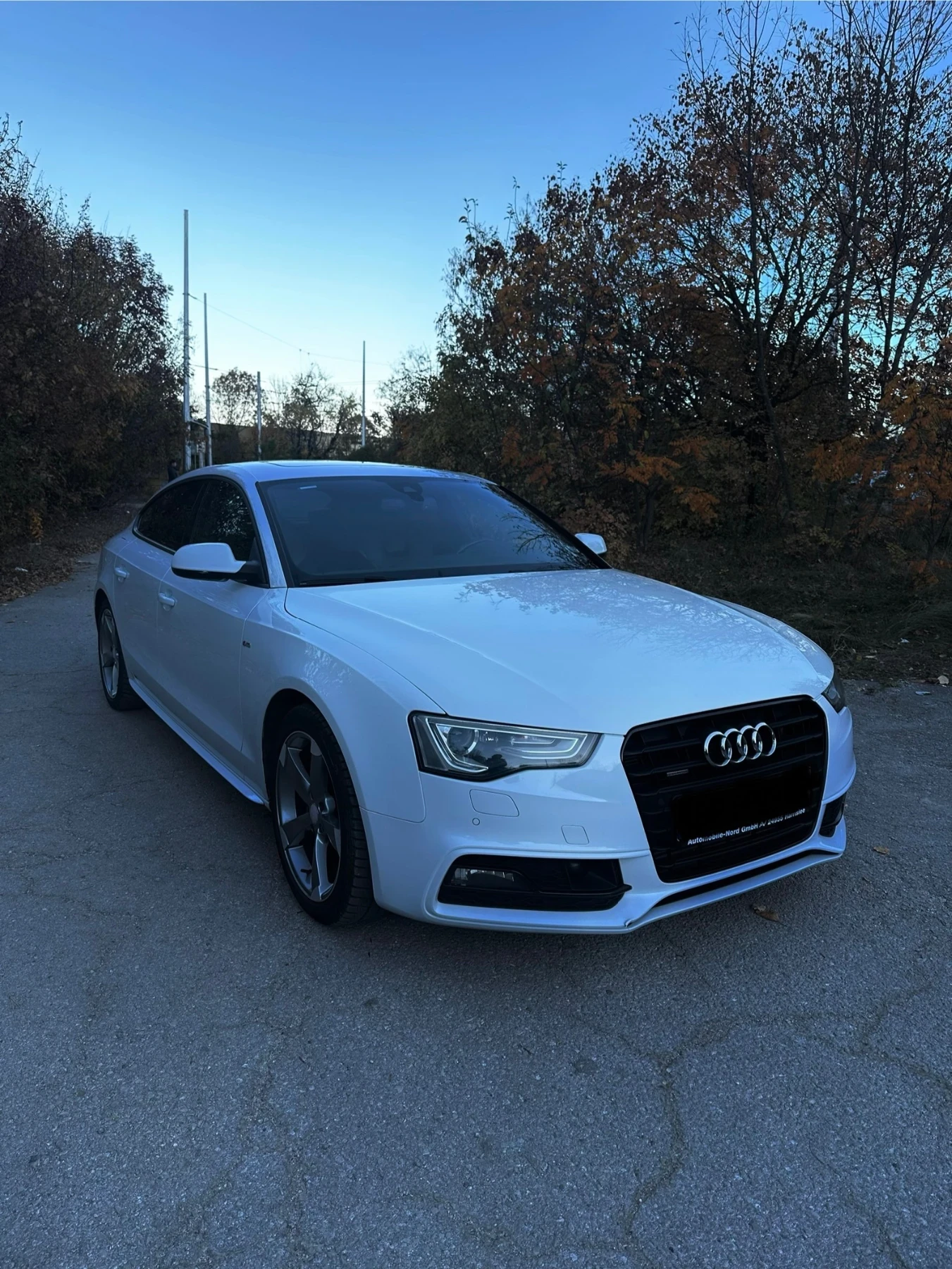 Audi A5 3.0TDi 245к.с *  * 3xS-Line* * Quattro* * Keyless* - изображение 8