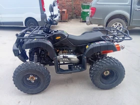 Shineray XY 250 | Auto.bg — изображение 6