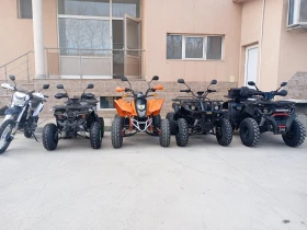 Shineray XY 250 | Auto.bg — изображение 2