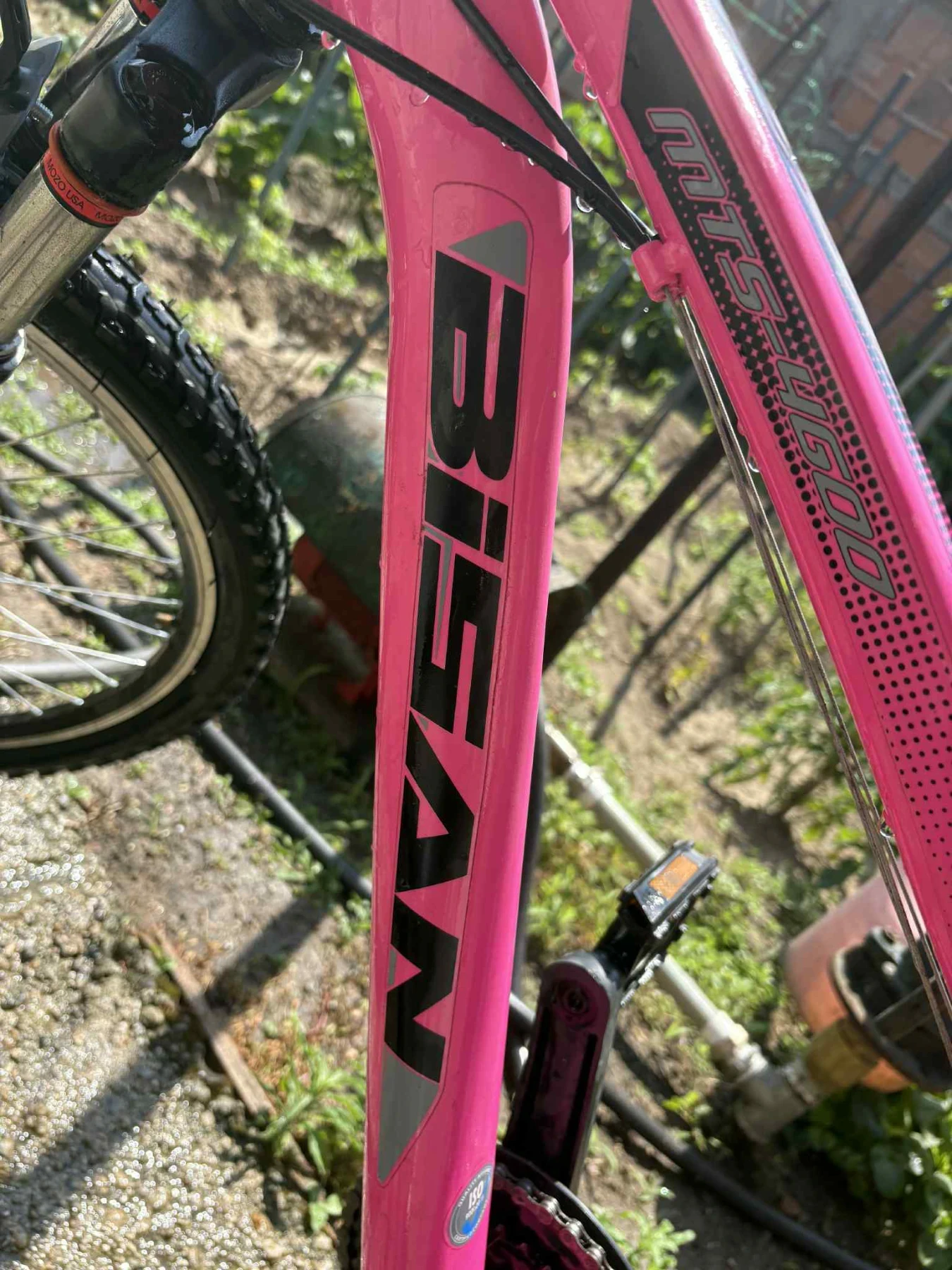 ������� ������ Bisan ������  | Mobile.bg � ����������� 6