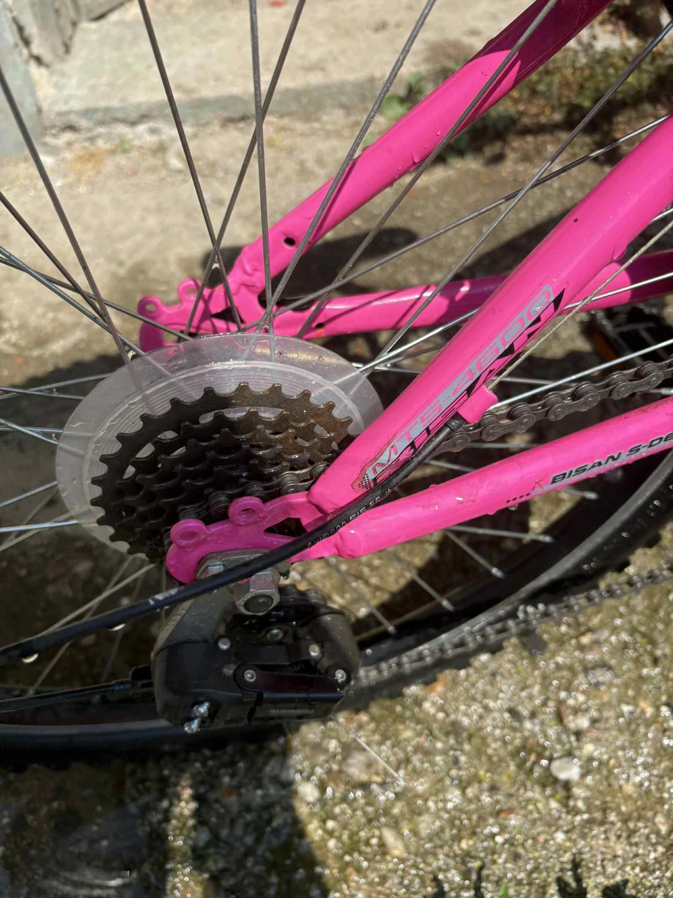 ������� ������ Bisan ������  | Mobile.bg � ����������� 2