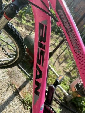 ������� ������ Bisan ������  | Mobile.bg � ����� ������ 6