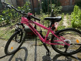 ����� �� �������� �� ������� ������ Bisan ������ 