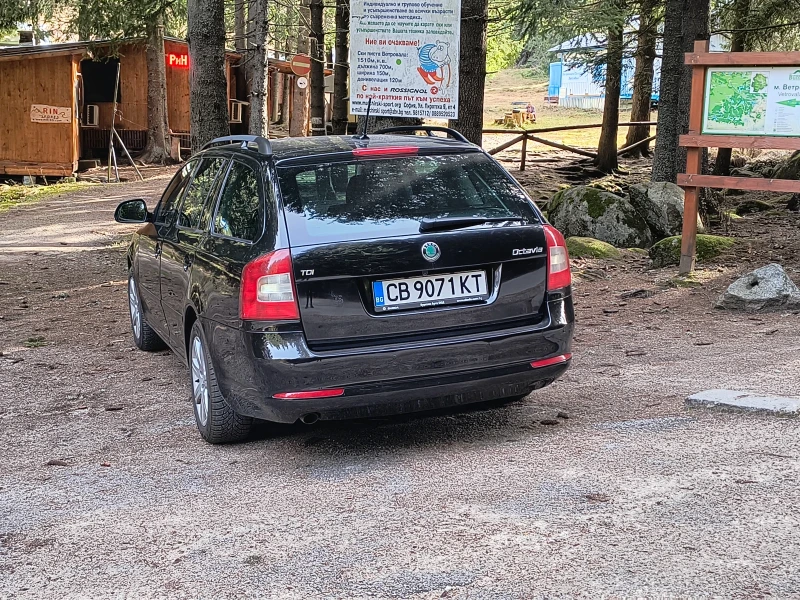 Skoda Octavia, снимка 3 - Автомобили и джипове - 52432159