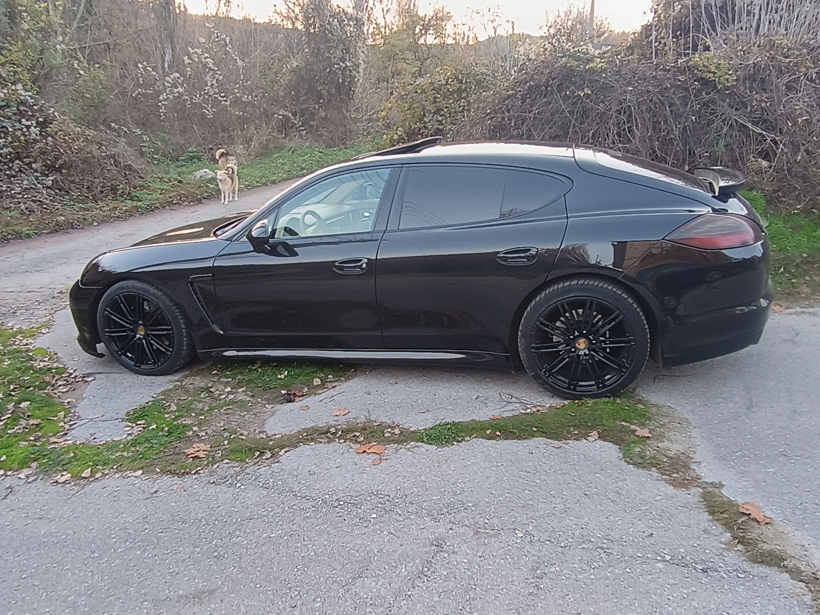 Porsche Panamera SHADOW LINE - изображение 7