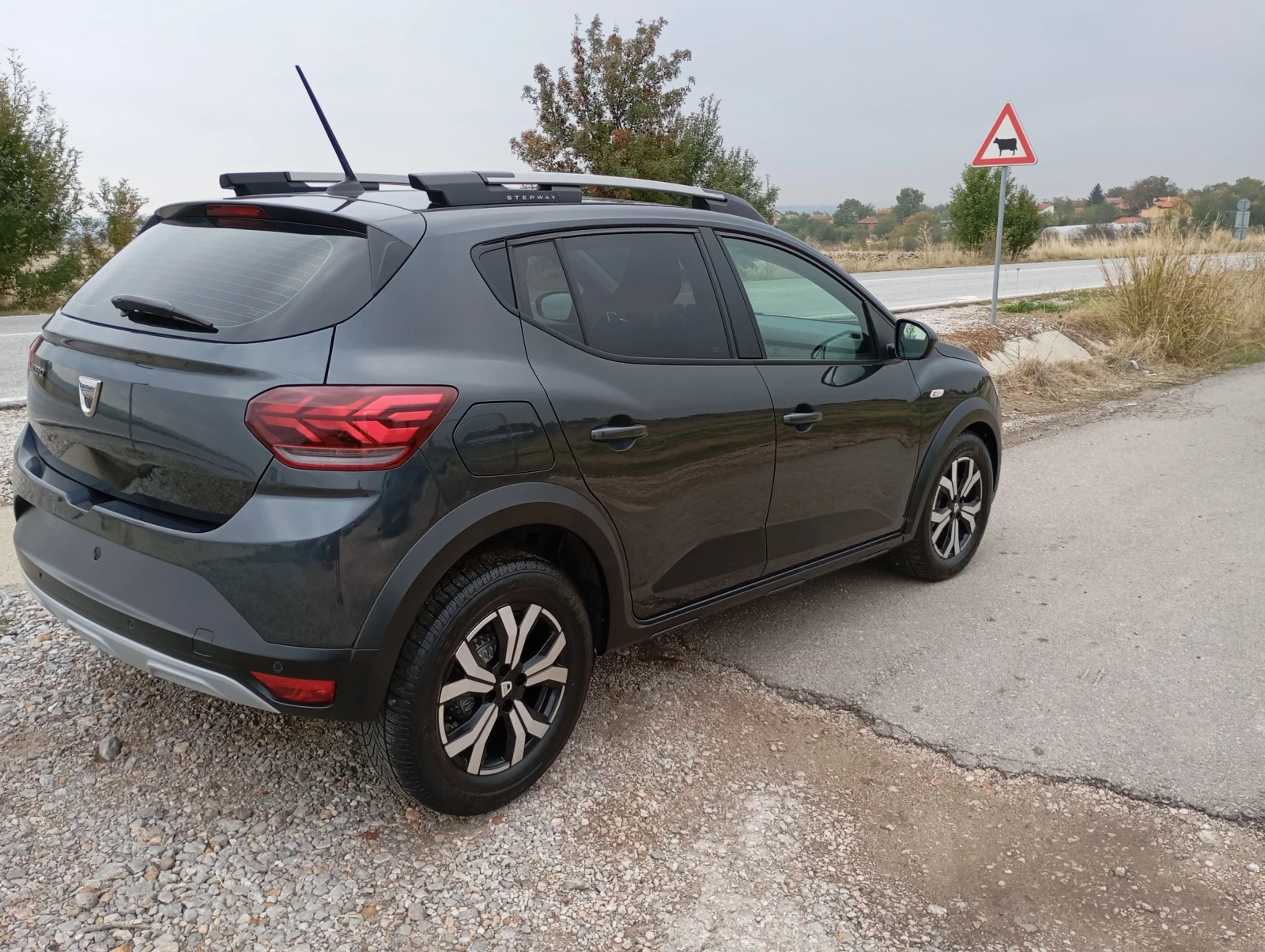 Dacia Sandero Stepway 1.0 - изображение 4