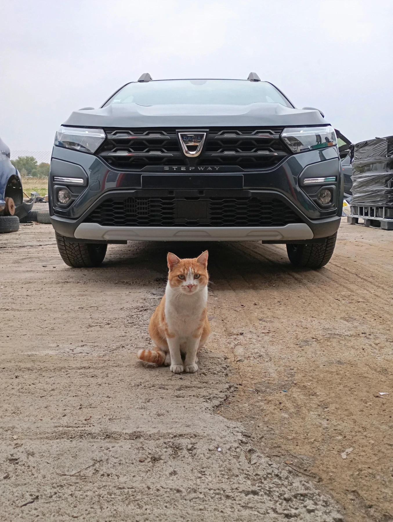 Dacia Sandero Stepway 1.0 - изображение 9