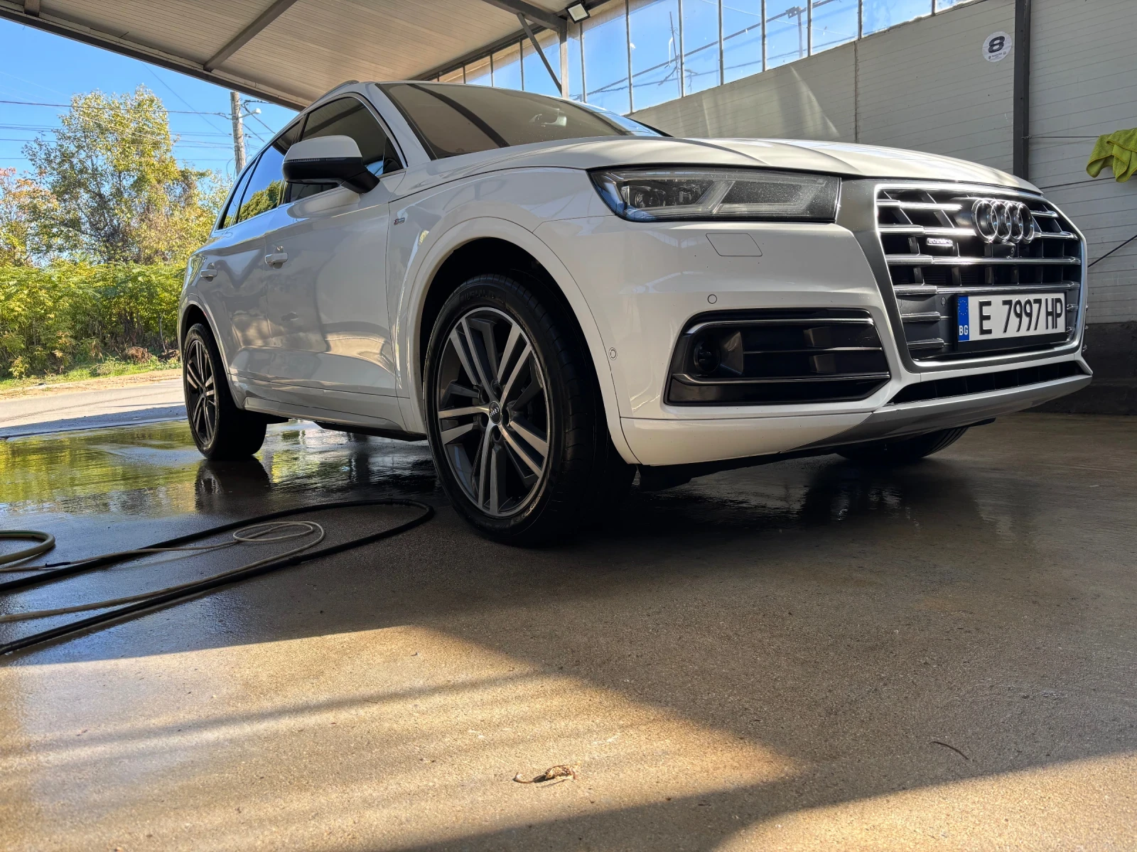 Audi Q5 TDI/QUATTRO/S-LINE/360/DISTRONIC/AMBIENT - изображение 3