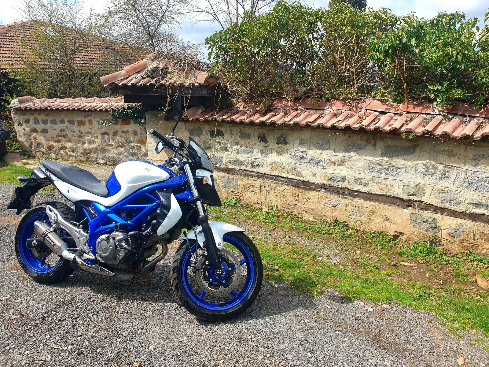 Suzuki Gladius SFV - изображение 2