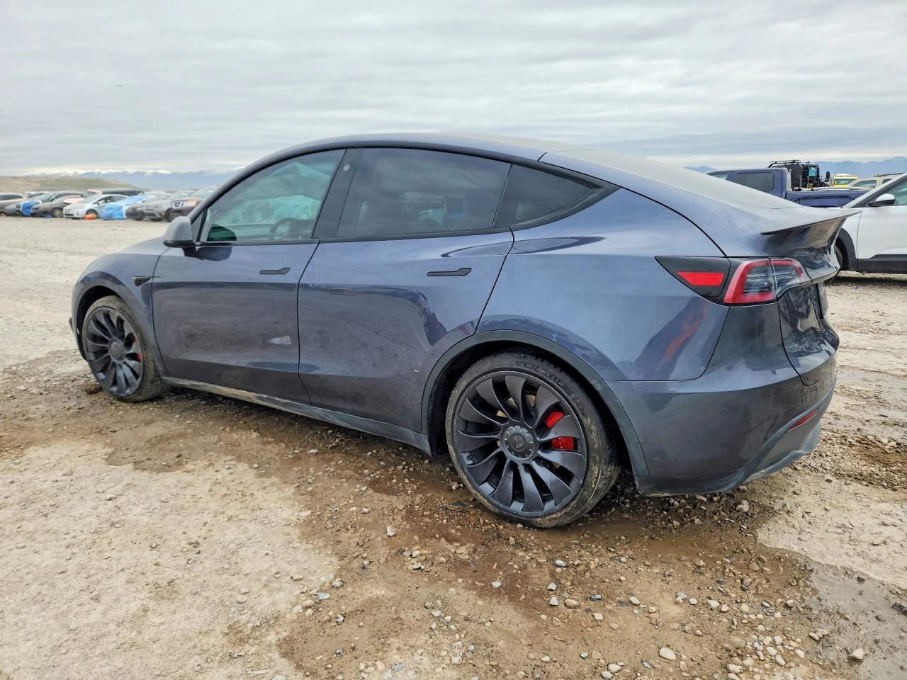 Tesla Model Y Performance AWD, снимка 2 - Автомобили и джипове - 54237212