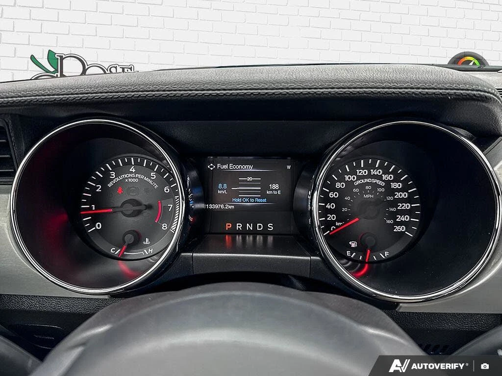 Ford Mustang  GT Premium Coupe RWD, снимка 14 - Автомобили и джипове - 54568669