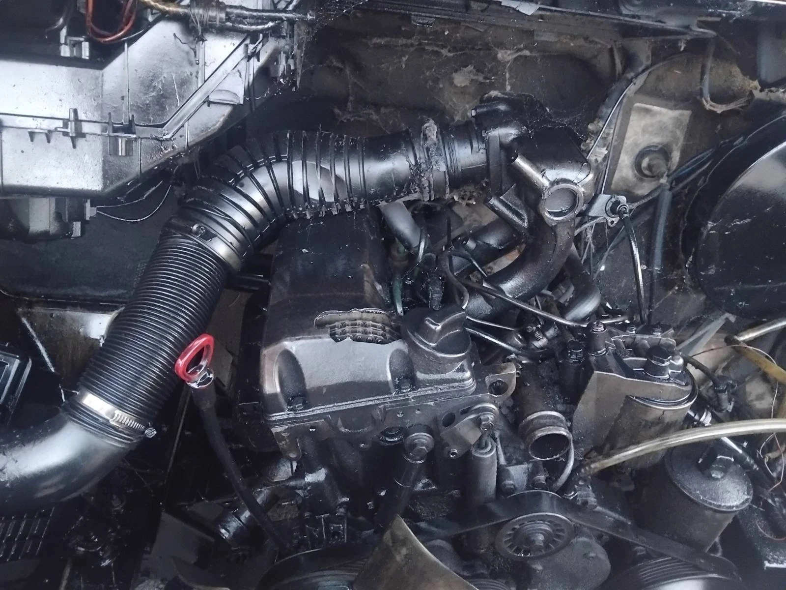 Mercedes-Benz 312, снимка 3 - Бусове и автобуси - 54356621