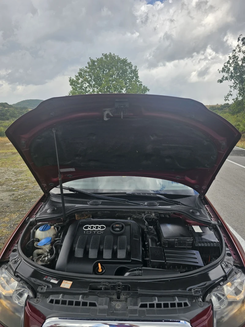 Audi A3, снимка 5 - Автомобили и джипове - 51552635