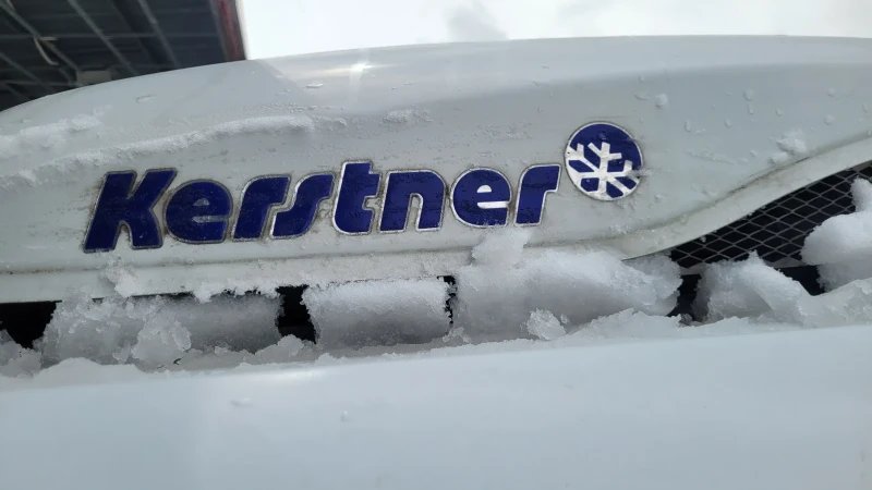 Mercedes-Benz Sprinter 316         ХЛАДИЛЕН, снимка 8 - Бусове и автобуси - 52188193