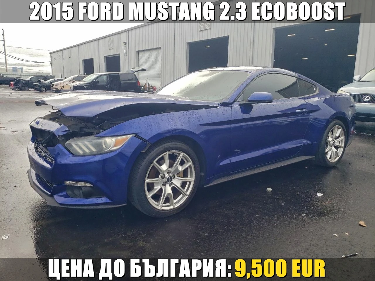 Ford Mustang 2.3 ECOBOOST| КОЖА| BLIND| АВТОМАТ| 50 YEARS ANNIV, снимка 1