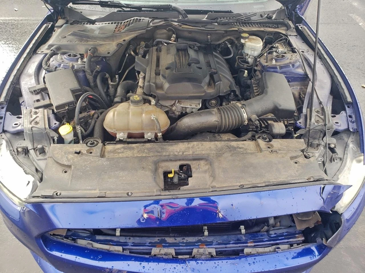 Ford Mustang 2.3 ECOBOOST| ����| BLIND| �������| 50 YEARS ANNIV | Mobile.bg � ����������� 11