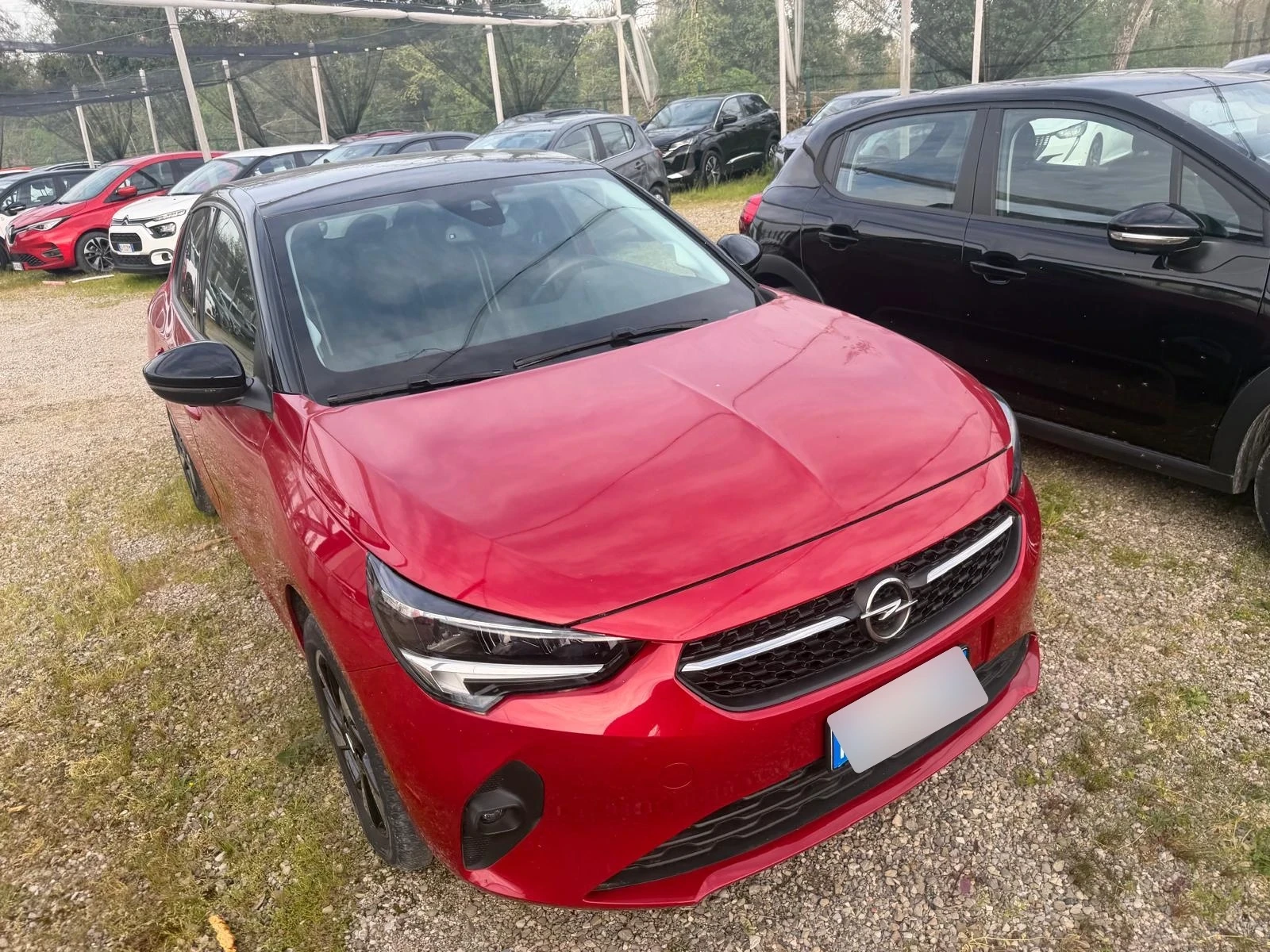 Opel Corsa Corsa-e 5P Blitz Edition, снимка 2 - Автомобили и джипове - 54114840