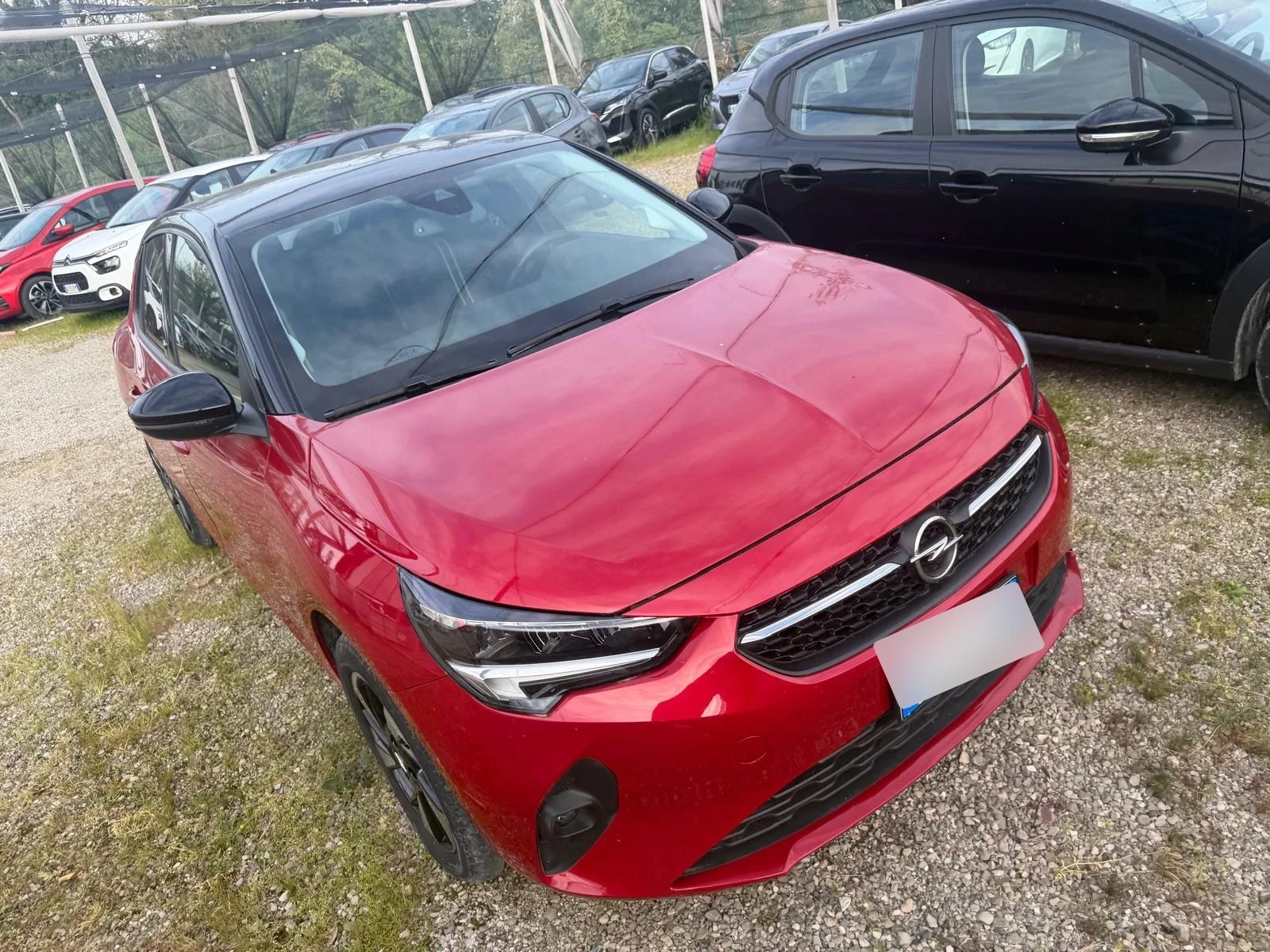 Opel Corsa Corsa-e 5P Blitz Edition, снимка 3 - Автомобили и джипове - 54114840