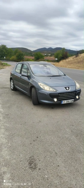Peugeot 307 - 1250 € / 2444.79 лв. - 65046009 5