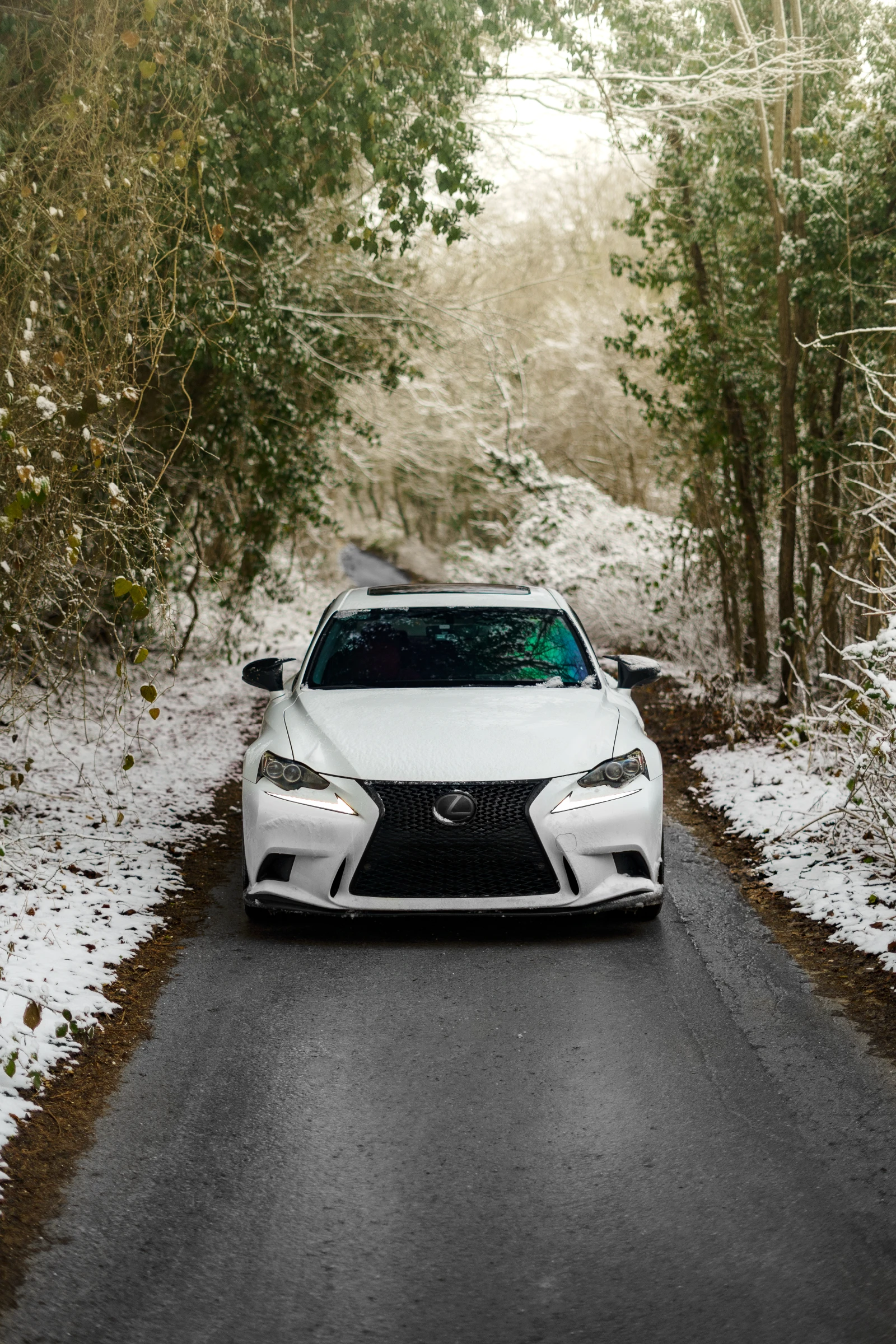 Lexus IS 350 F-Sport RWD