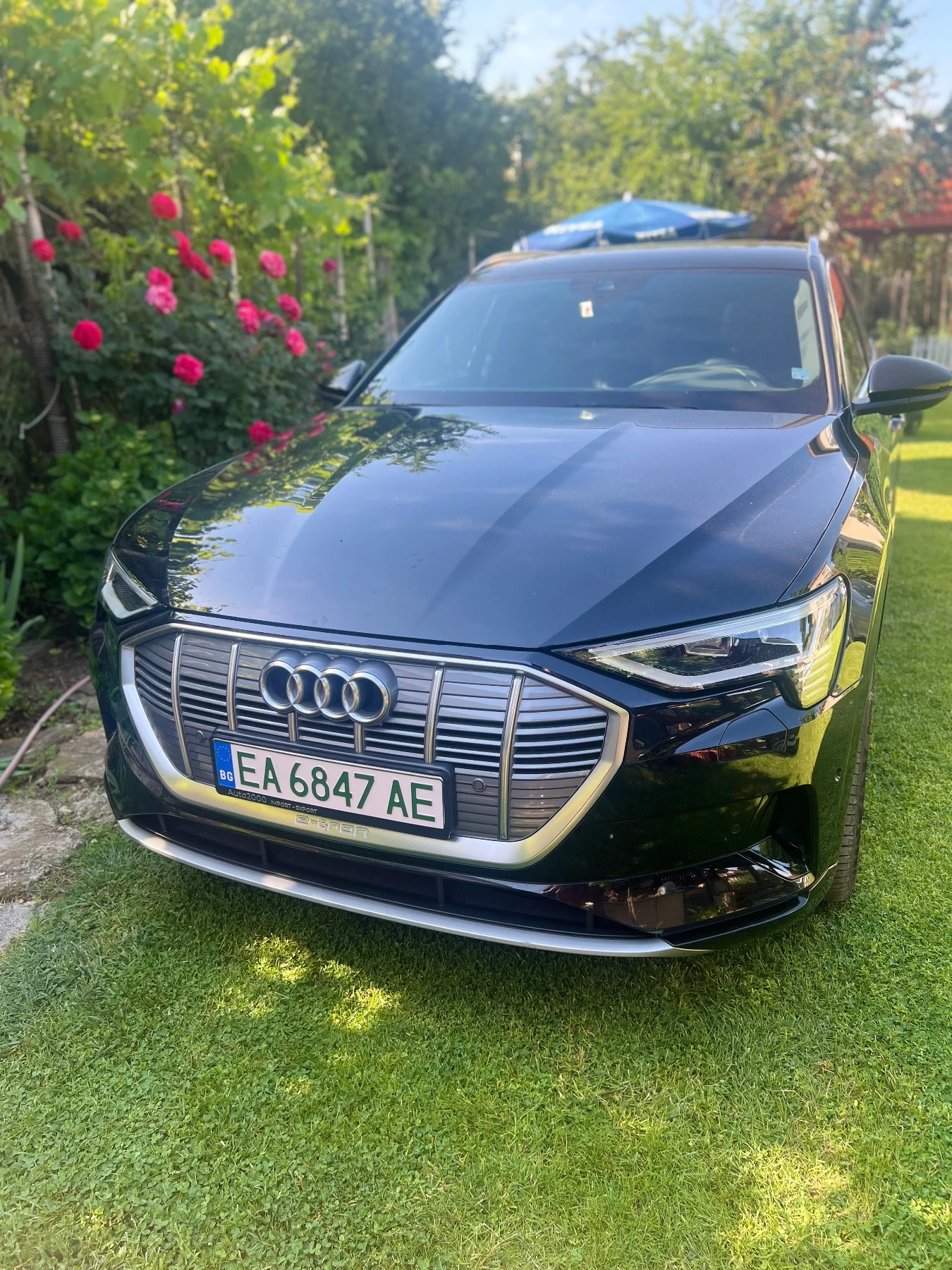 Audi E-Tron Matrix, снимка 2 - Автомобили и джипове - 54741196