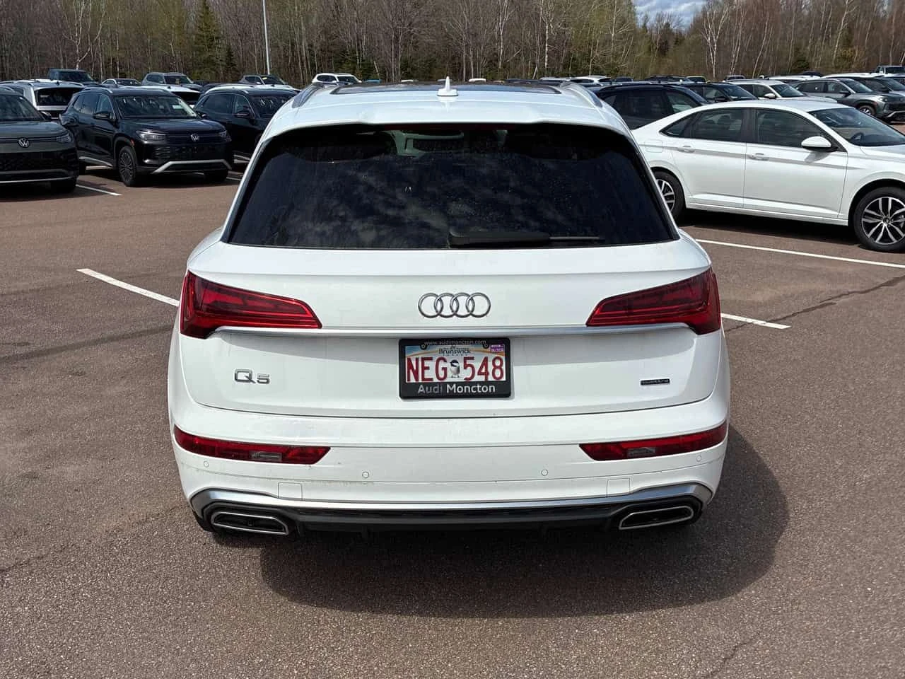 Audi Q5 * PROGRESSIV * ПАНО * ПОДГРЕВИ * KEYLESS * CARFAX, снимка 4 - Автомобили и джипове - 54512781