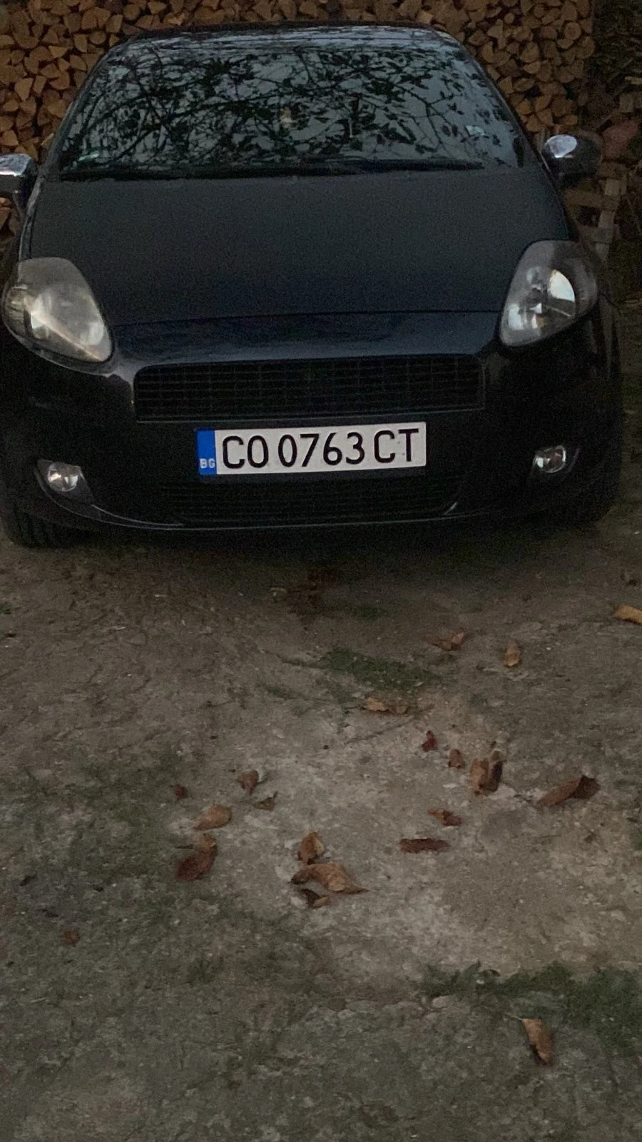 Fiat Punto 1.6, снимка 1