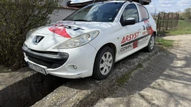 Peugeot 206 Peugeot 206 plus с проблем